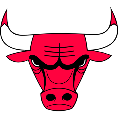 Chicago Bulls logo