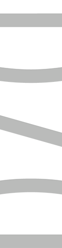Chicago Steel