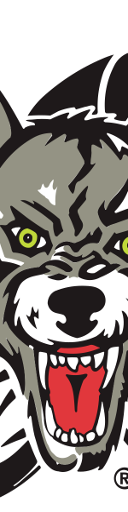 Chicago Wolves