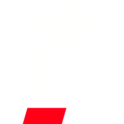 Cincinnati Bearcats Football logo