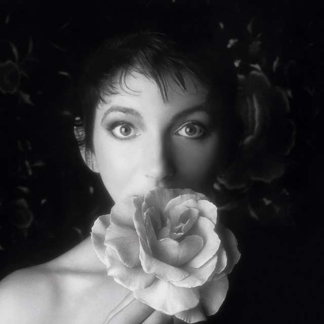 Classically Kate Bush at New Theatre - Peterborough on Nov 7, 2026