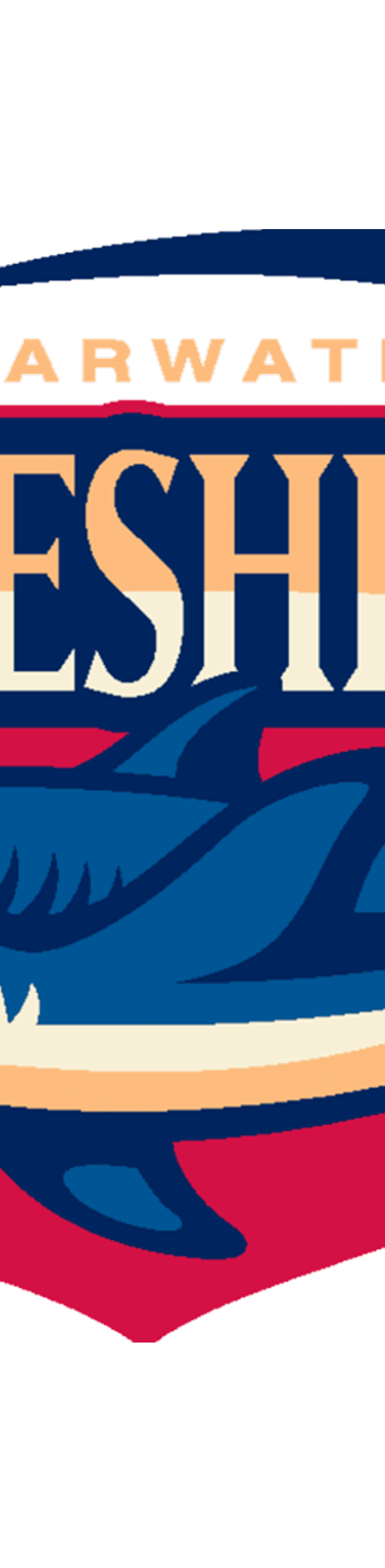 Clearwater Threshers: _No League Baseball team logo
