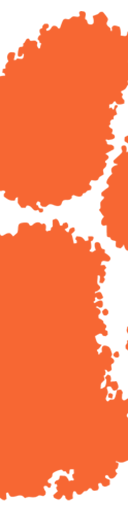 Clemson Tigers Football
