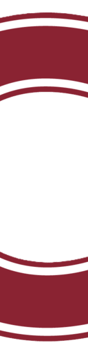 Colgate Raiders Football