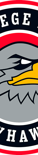 College Park Skyhawks