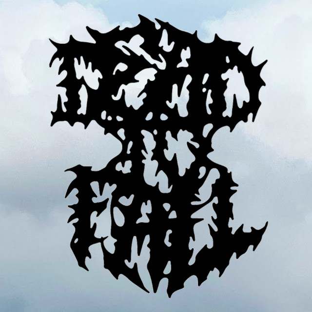 Dead To Fall: Rock artist