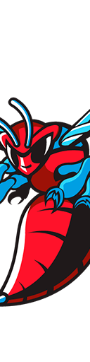 Delaware State Hornets Football