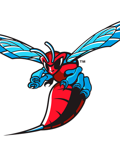 Towson Tigers at Delaware State Hornets Football