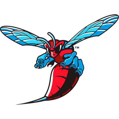 Delaware State Hornets Football logo
