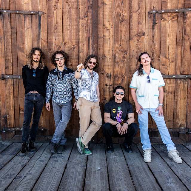 Dogs In A Pile: Rock artist