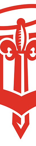 Dubuque Fighting Saints