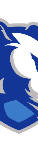 Eastern Illinois Panthers Football