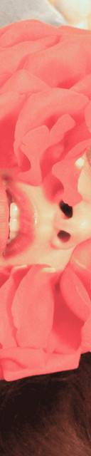 Ebril