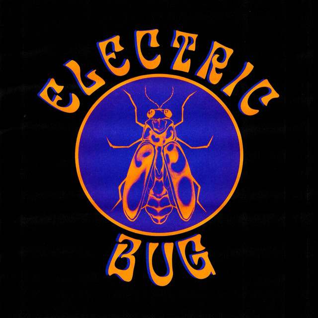 Electric Bug: Rock artist
