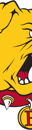 Ferris State Bulldogs Football