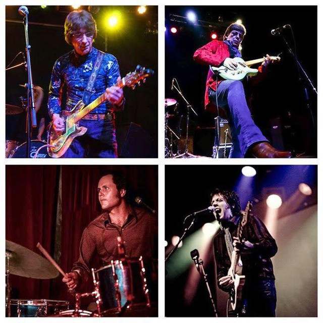 Flamin Groovies: Rock artist