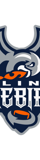 Flint Firebirds