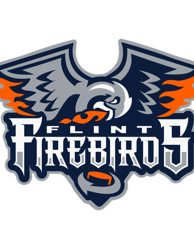 Brampton Steelheads at Flint Firebirds