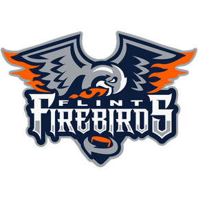Flint Firebirds logo