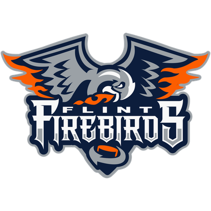 Flint Firebirds logo
