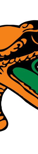 Florida A&M Rattlers Womens Basketball