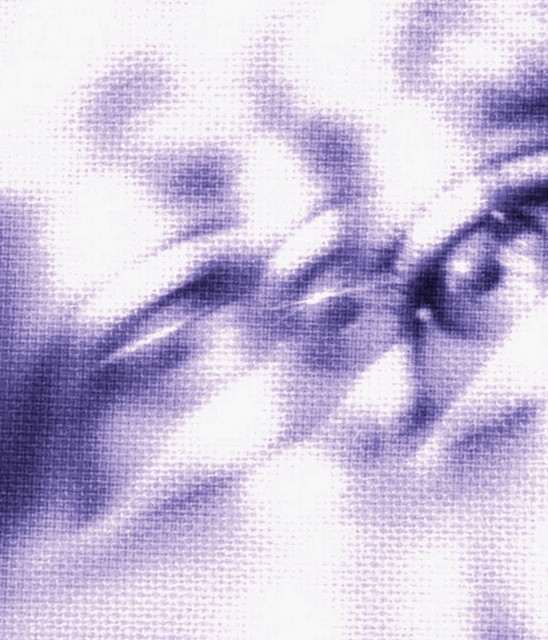 Glimmer (18+ Event) at The East Room - Nashville on Oct 21, 2026