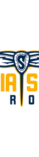 Georgia Swarm