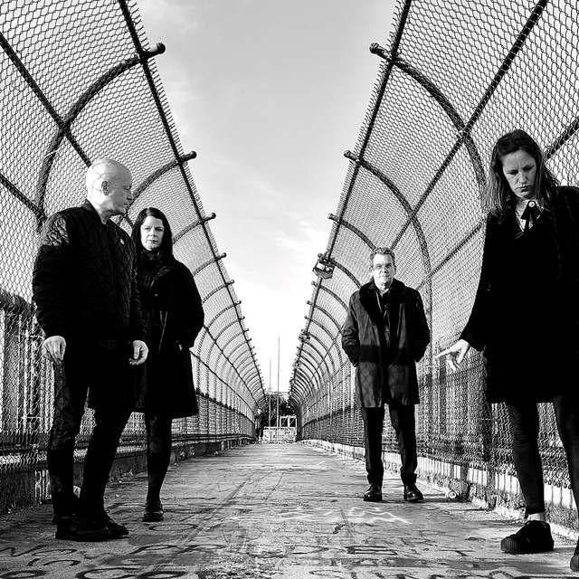 Gossip Collar: Rock artist