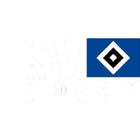 Hamburger SV logo