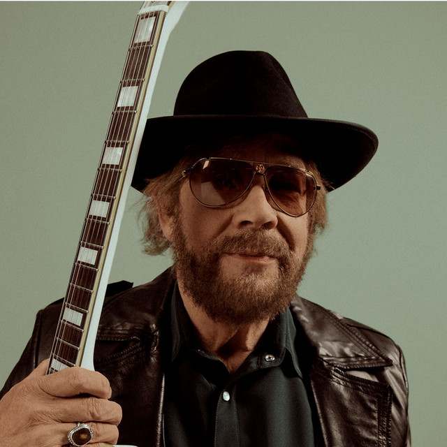 Hank Williams Jr: Country and Folk artist