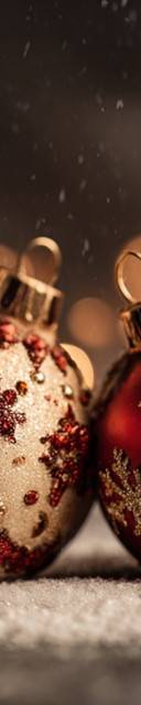 In the Christmas Mood