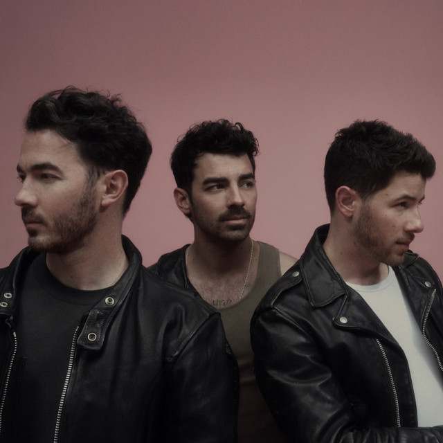 Jonas Brothers: Pop artist