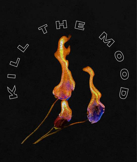 Kill The Mood at The Pyramid Scheme on Dec 13, 2026