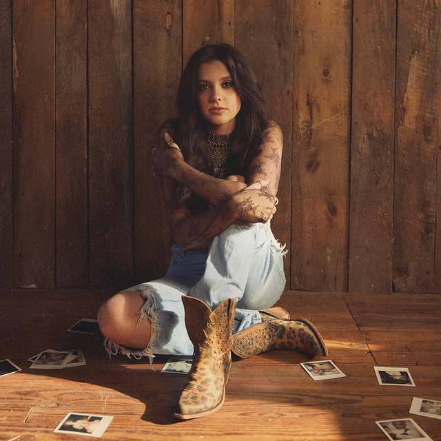 Lanie Gardner: Pop artist