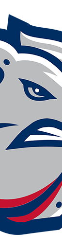 Lehigh Valley IronPigs