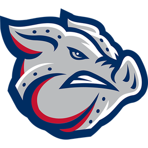 Lehigh Valley IronPigs logo