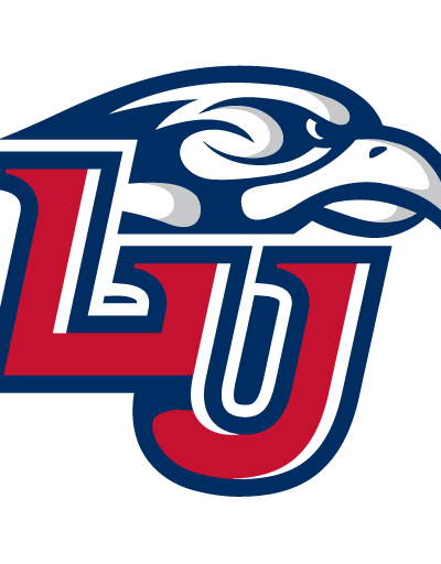 Drury Panthers at Liberty Flames Hockey