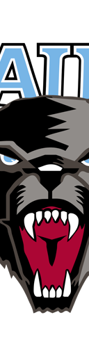 Maine Black Bears Football