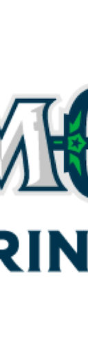 Maine Mariners