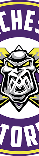 Manchester Storm
