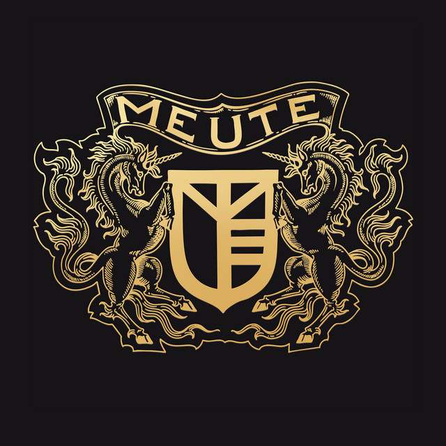 Meute: Dance/Electronica artist