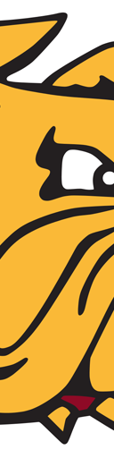 Minnesota Duluth Bulldogs Football