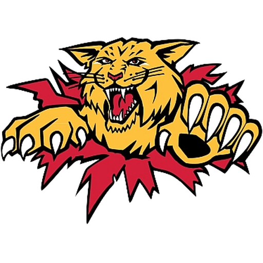 Moncton Wildcats at Rouyn Noranda Huskies at Arena Glencore on Dec 13, 2026