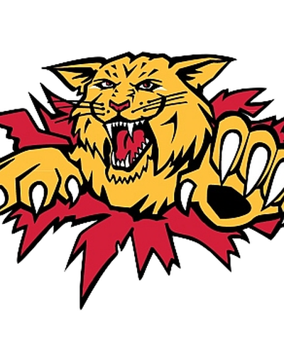 Moncton Wildcats at Rouyn Noranda Huskies