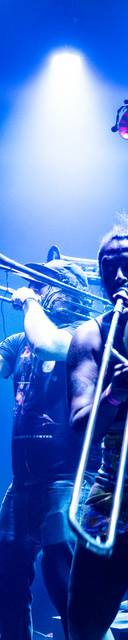 My Son the Hurricane