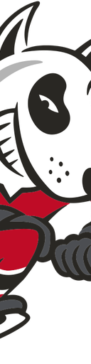 Niagara IceDogs