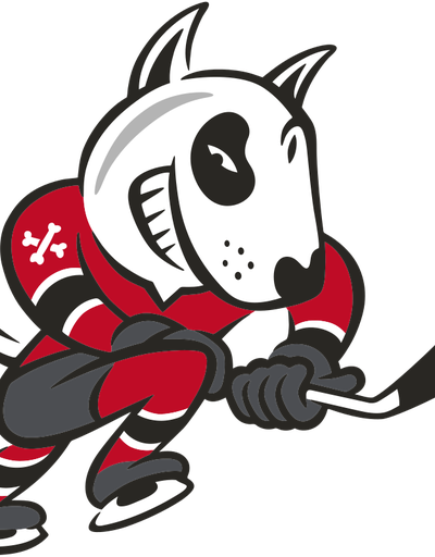 Soo Greyhounds at Niagara IceDogs