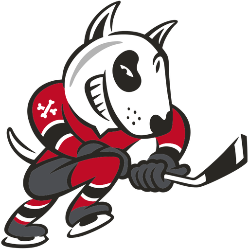 Niagara IceDogs: Canadian OHL team logo