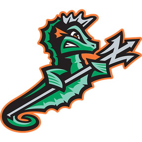 Norfolk Tides logo