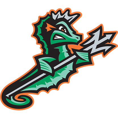 Norfolk Tides logo
